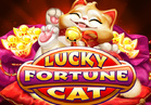 Lucky Fortune Cat