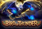 Bird of Thunder