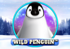 Wild Penguin