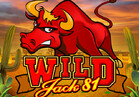 Wild Jack 81