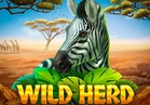 Wild Herd