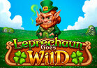 Leprechaun Goes Wild