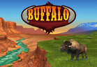 Video Bingo - Buffalo