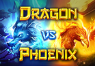Dragon VS Phoenix