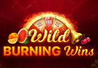 Wild Burning Wins: 5 lines