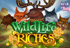 Wildlife Riches
