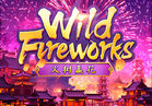 Wild Fireworks