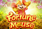 Fortune Mouse