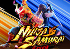 Ninja vs Samurai