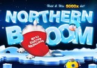 Northern Boom