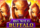 Big Wild Buffalo