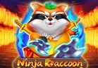 Ninja Raccoon