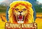 Running Animals