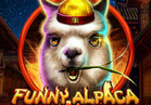 Funny Alpaca