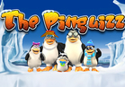 The Pinguizz HD