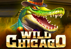 Wild Chicago