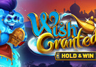 Wish Granted