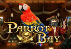 Parrot Bay
