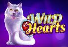Wild Hearts