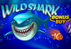 Wild Shark Bonus Buy