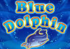Blue Dolphin