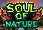 Soul of Nature