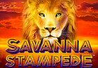 Savanna Stampede