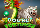 Double Fortunes