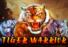 Tiger Warrior