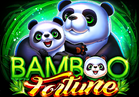 Bamboo Fortune