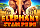 Elephant Stampede