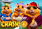 CRASH, HAMSTER, CRASH!