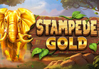 Stampede Gold