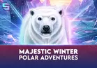 Majestic Winter - Polar Adventures