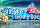 Winterberries