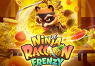 Ninja Raccoon Frenzy