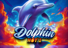 Dolphin Hot 1