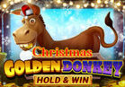 Golden Donkey Xmas