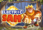 Electric SAM