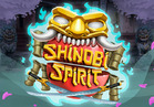 Shinobi Spirit