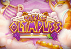 Cats of Olympuss