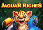 Jaguar Riches