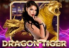 Dragon Tiger