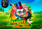 Rabbits Rabbits Rabbits