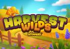 Harvest Wilds