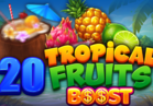 20 Tropical Fruits Boost