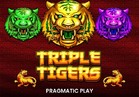 Triple Tigers