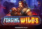 Forging Wilds
