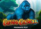 Congo Cash XL