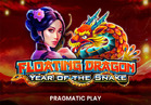 Floating Dragon – Year of the Snake